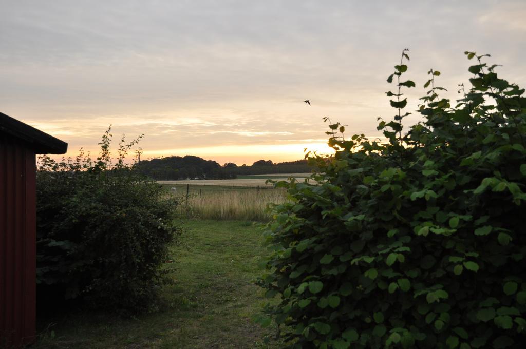 Stf Vandrarhem Blentarp Chambre photo